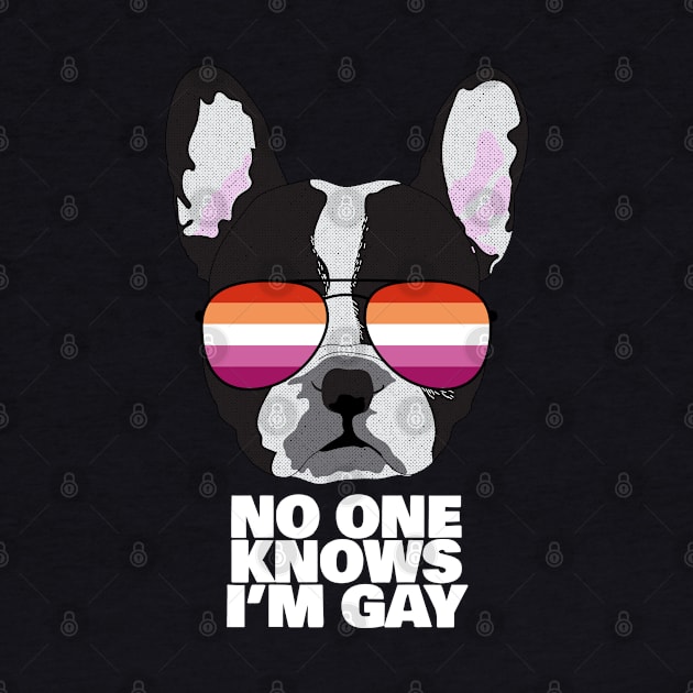 Funny Lesbian NO ONE KNOWS I'M GAY - Boston Terrier Dog Lesbian Pride Flag by NightField